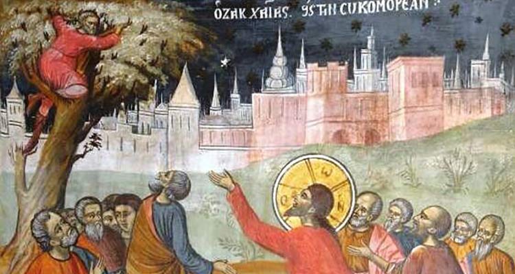 Слез от смоковницата!